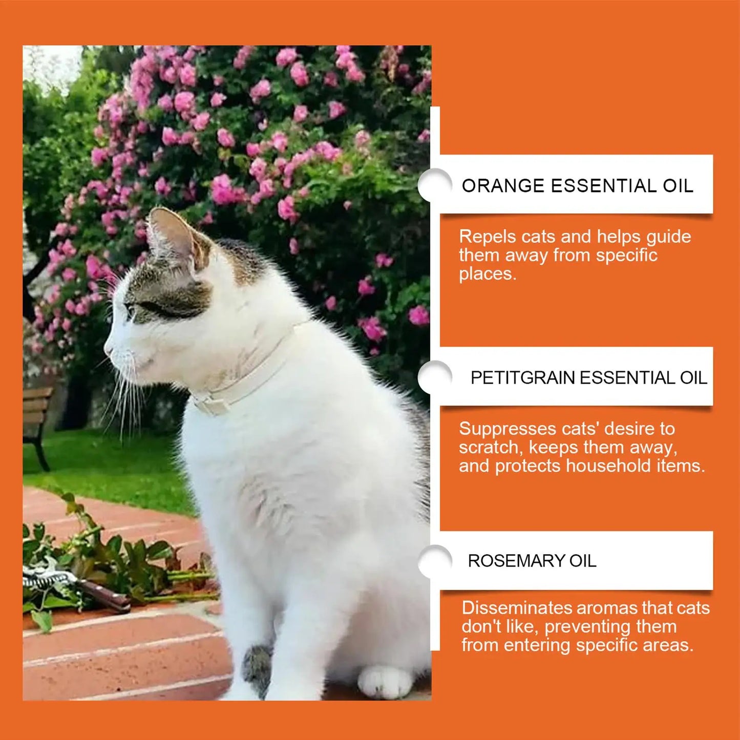 Cat Anti-Scratch Training Spray (100ml)