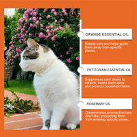 Cat Anti-Scratch Training Spray (100ml)