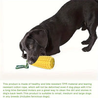 Durable Squeaky Dog Chew Toy