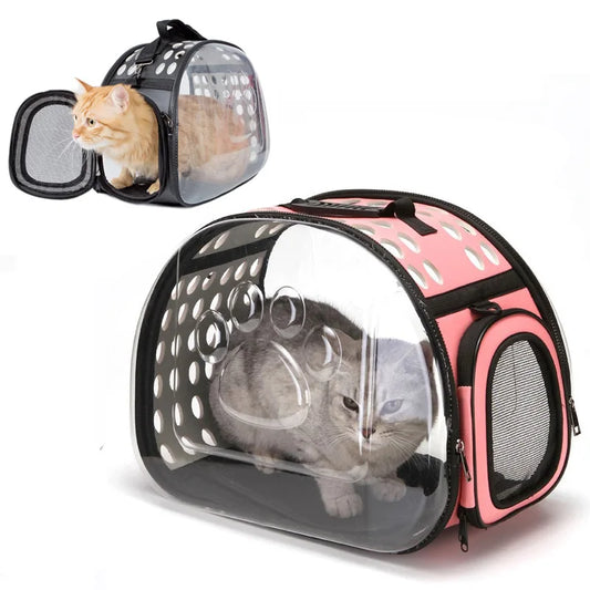 Transparent Cat Travel Backpack