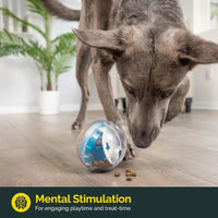 IQ Treat Ball Dispenser (4-Inch)