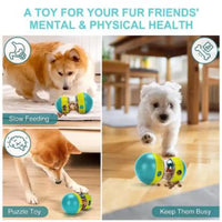 Bite-Resistant Training Ball Toy