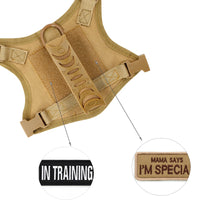 Tactical Puppy Harness Leash Set