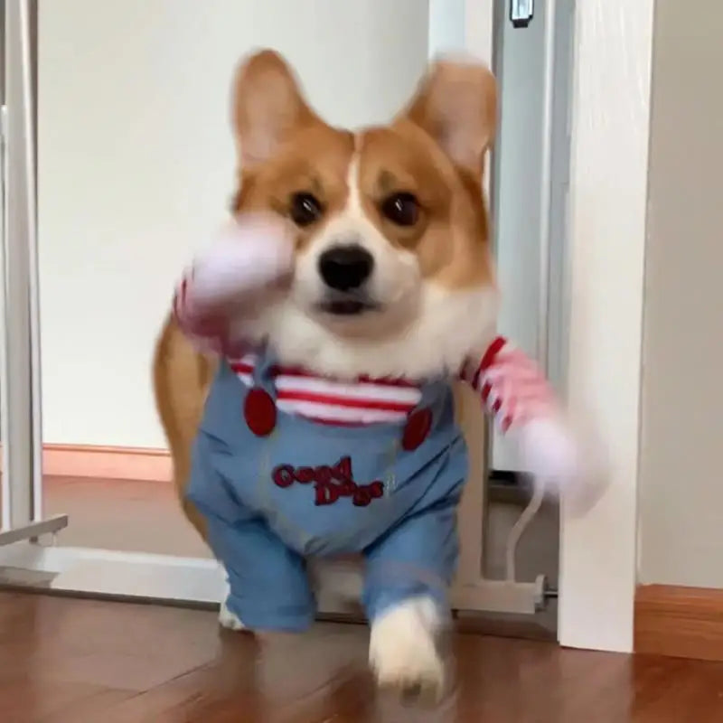 Chucky Dog Halloween Costume