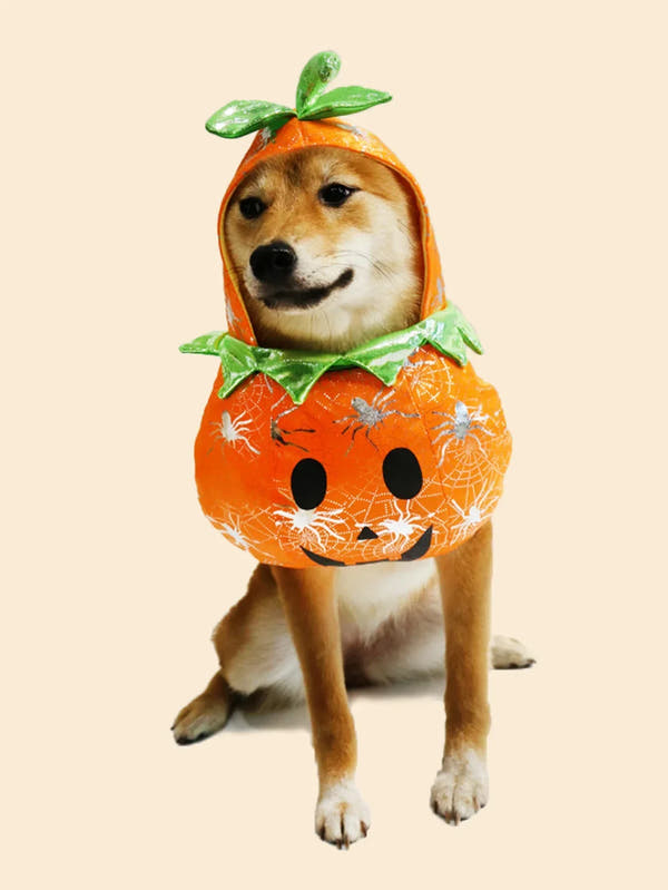 Pet Halloween Pumpkin