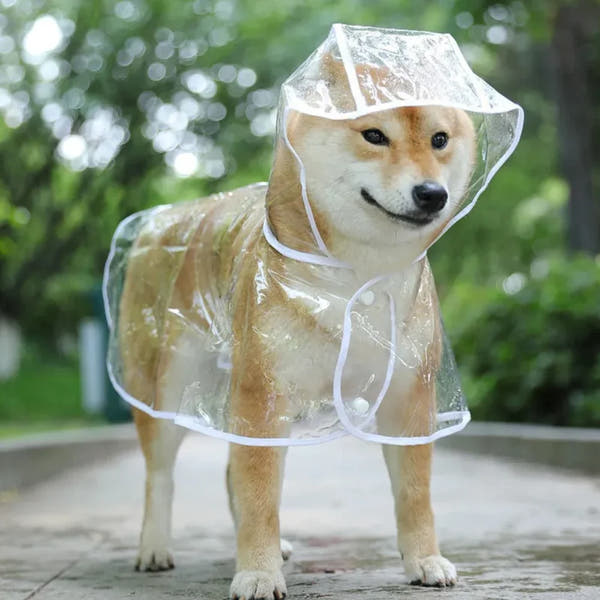 Transparent Dog Raincoat