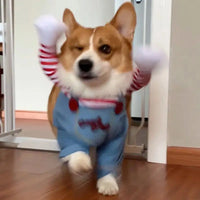 Chucky Dog Halloween Costume