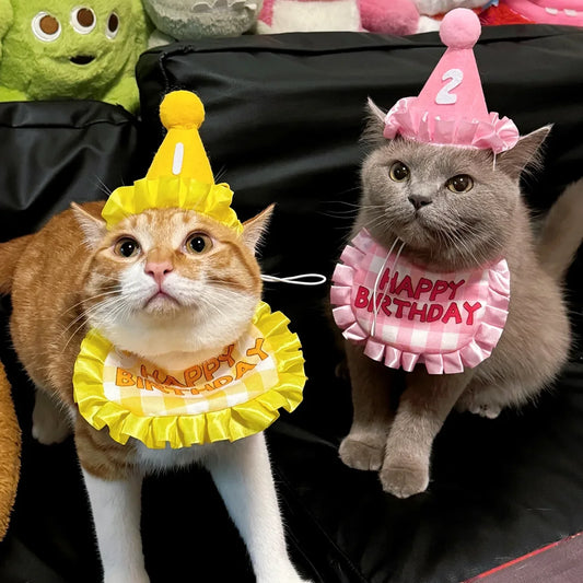 Cat Birthday Scarf and Hat Set