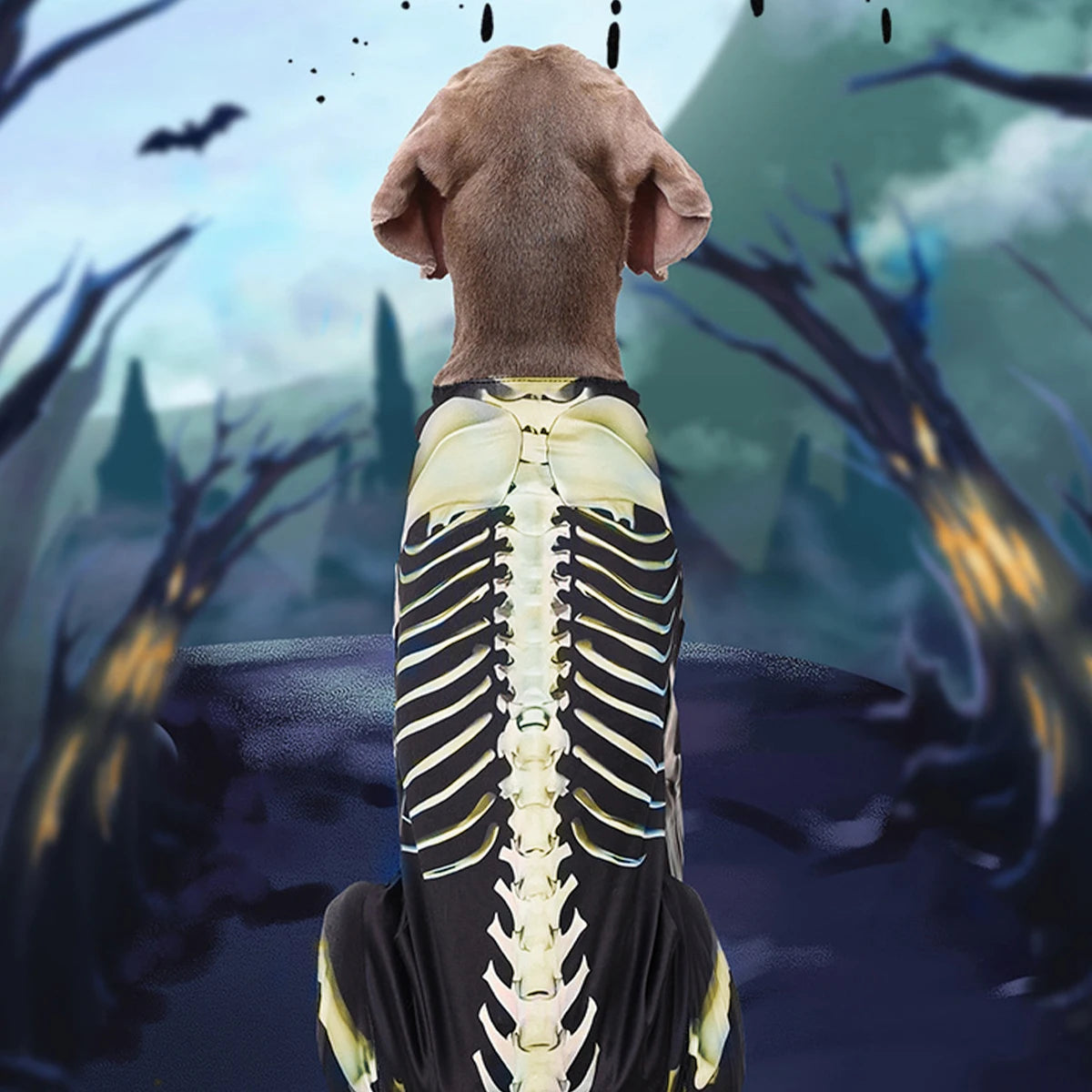 Skeleton Dog Halloween Costume