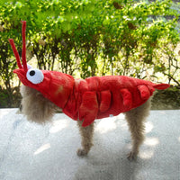 Pet Lobster Outfit