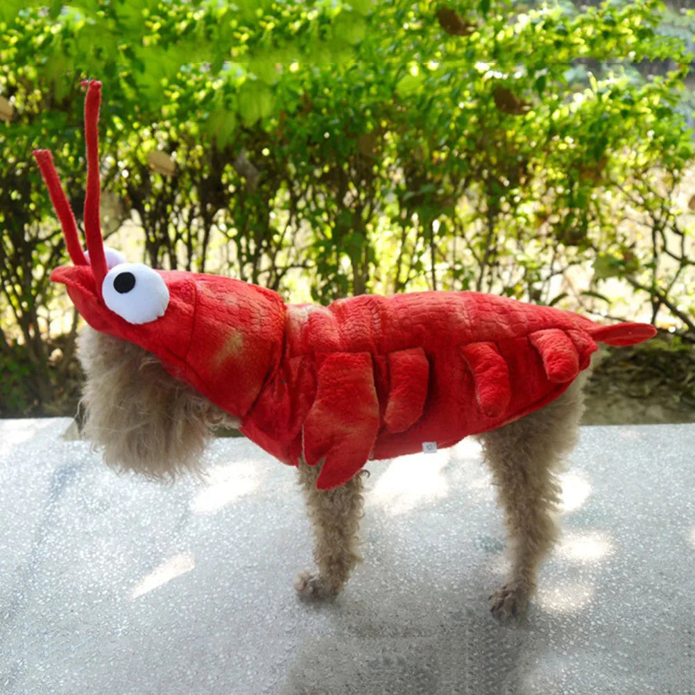 Pet Lobster Outfit