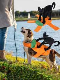 Pet Pumpkin & Black Cat Dress Costume