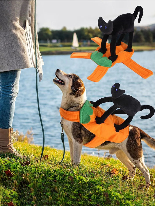 Pet Pumpkin & Black Cat Dress Costume