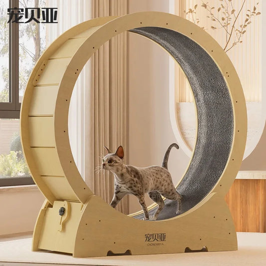 Wooden Cat Exercise Treadmill