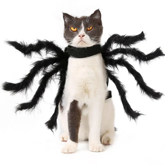 Cat Halloween Costume with Bat Wings