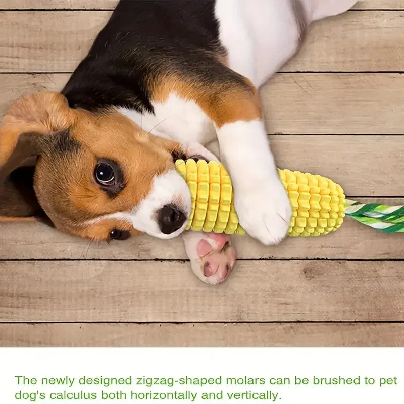 Durable Squeaky Dog Chew Toy