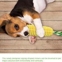 Durable Squeaky Dog Chew Toy