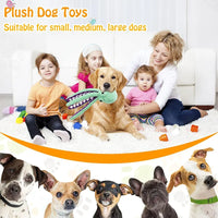 Large Squeaky Plush Dog Toy