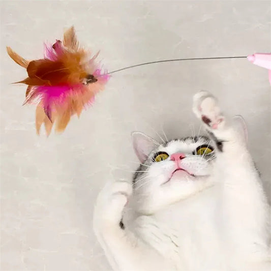 Feather Teaser Wand Cat Toy