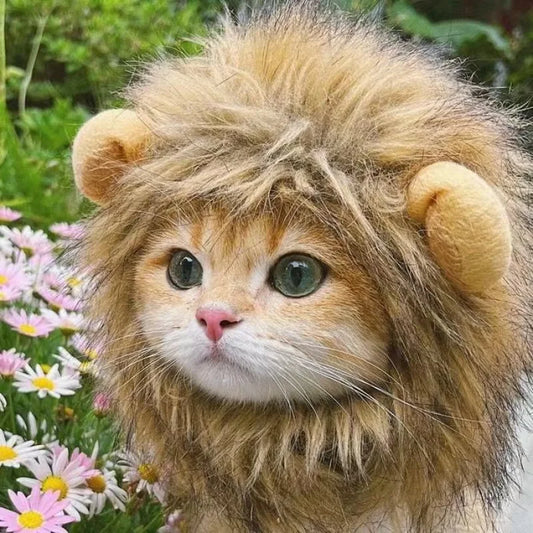 Cute Cat Wig with Lion Mane Ears