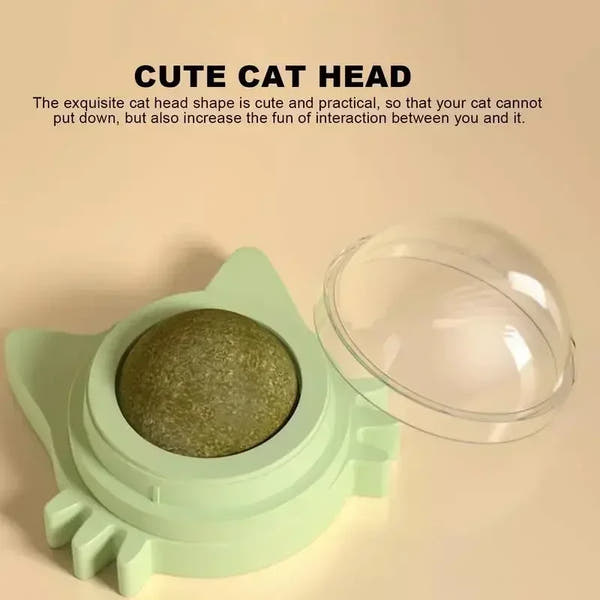 Catnip Ball Chewing Toy