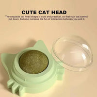 Catnip Ball Chewing Toy