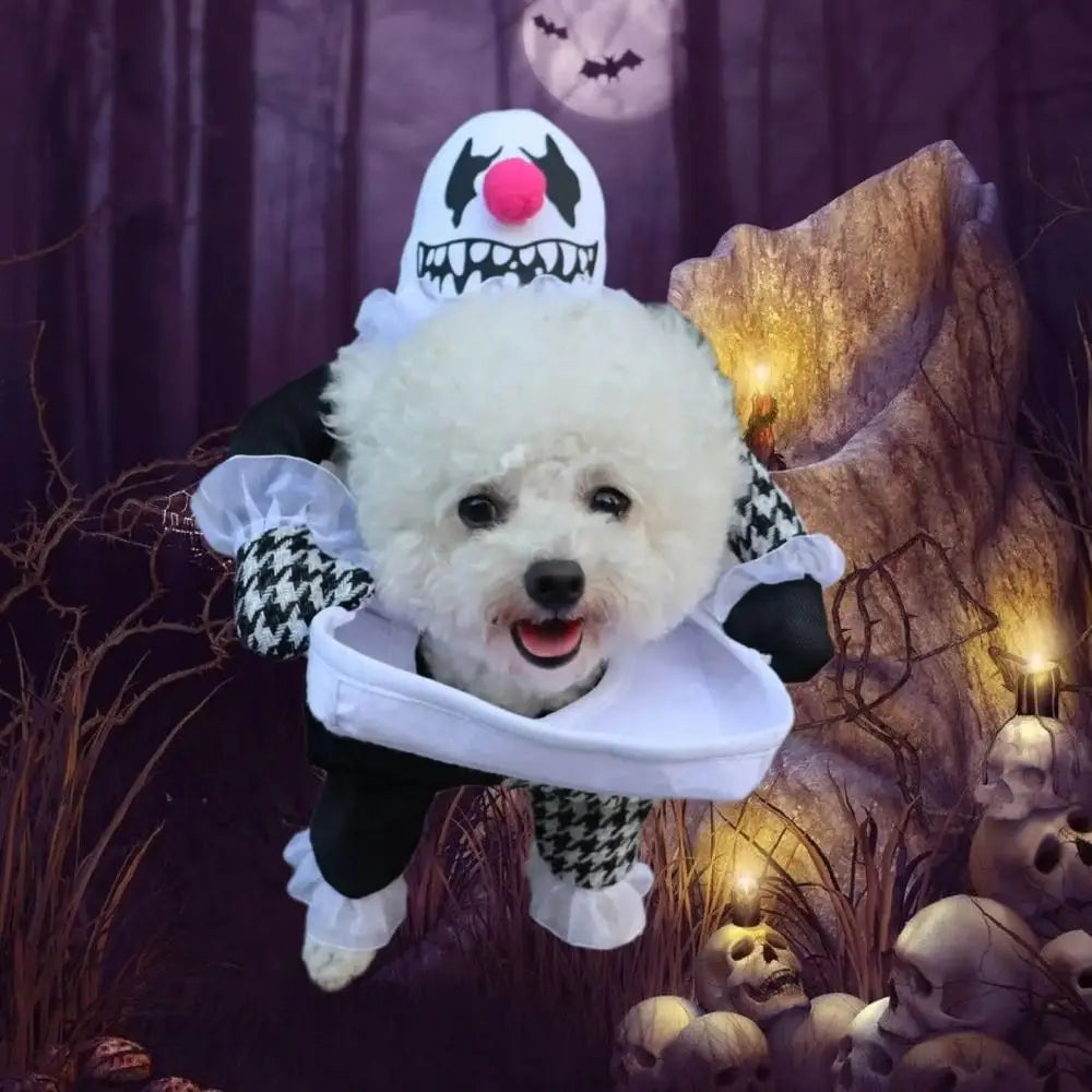Creative Puppy Halloween Coat