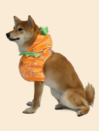 Pet Halloween Pumpkin