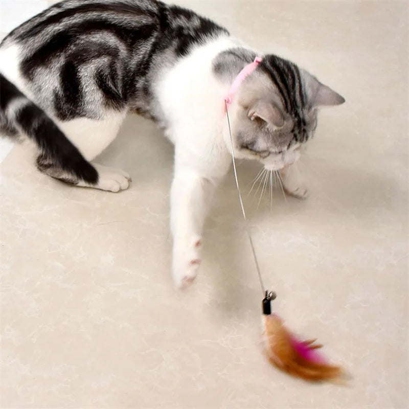 Feather Teaser Wand Cat Toy