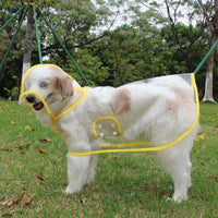 Transparent Dog Raincoat